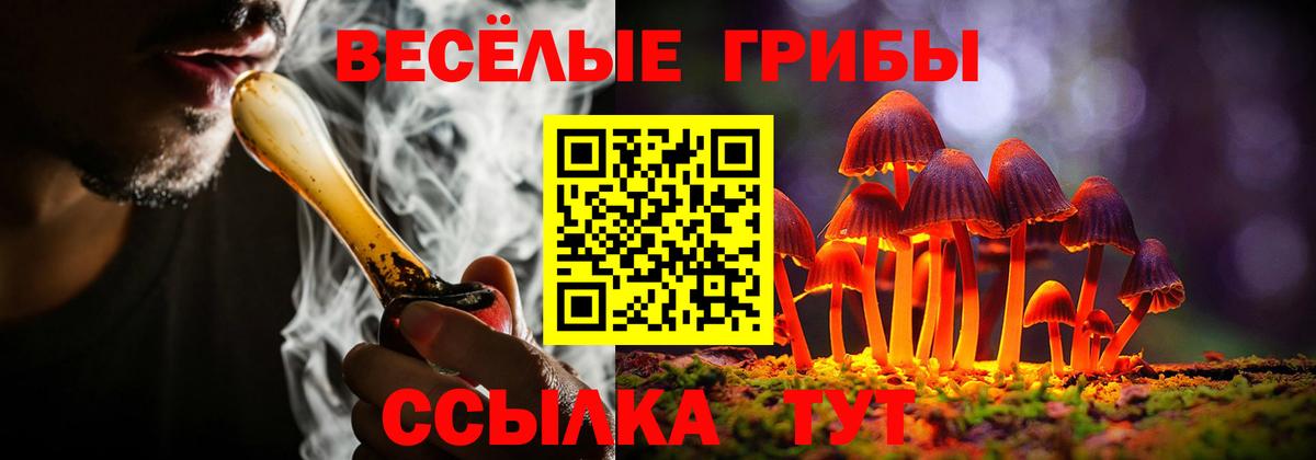Псилоцибиновые грибы GOLDEN TEACHER Урус-Мартан